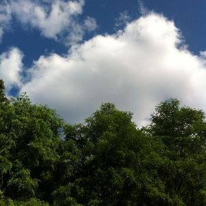 Meet your Posher, Rosy